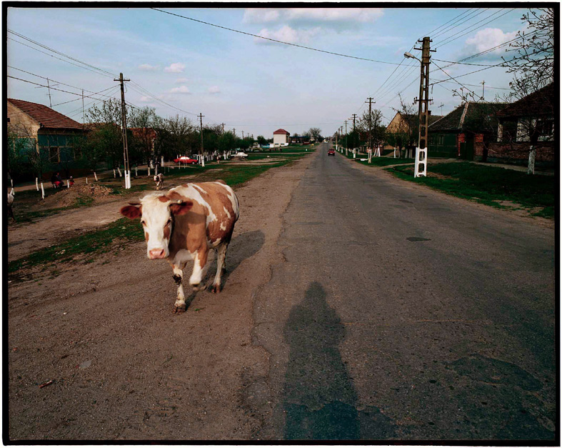 Land of the Future I – Periam, Romania.